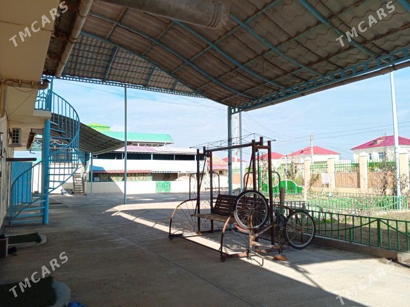 Coganly jay - Чоганлы - img 3