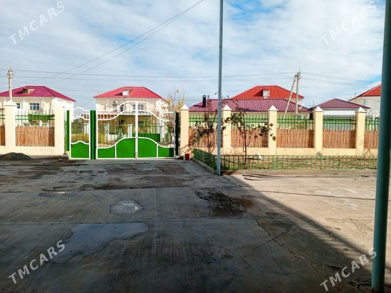 Coganly jay - Чоганлы - img 4