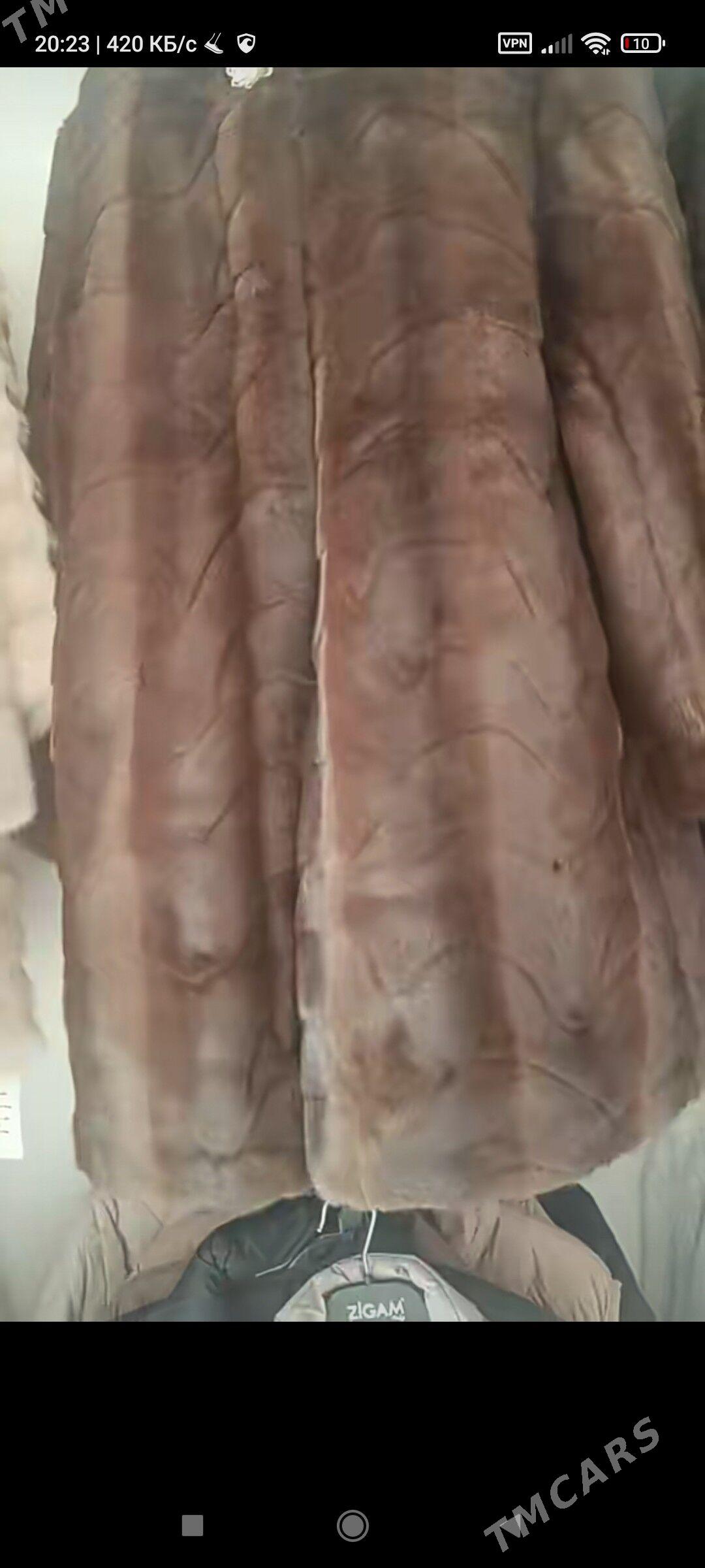 Śuba - Balkanabat - img 1