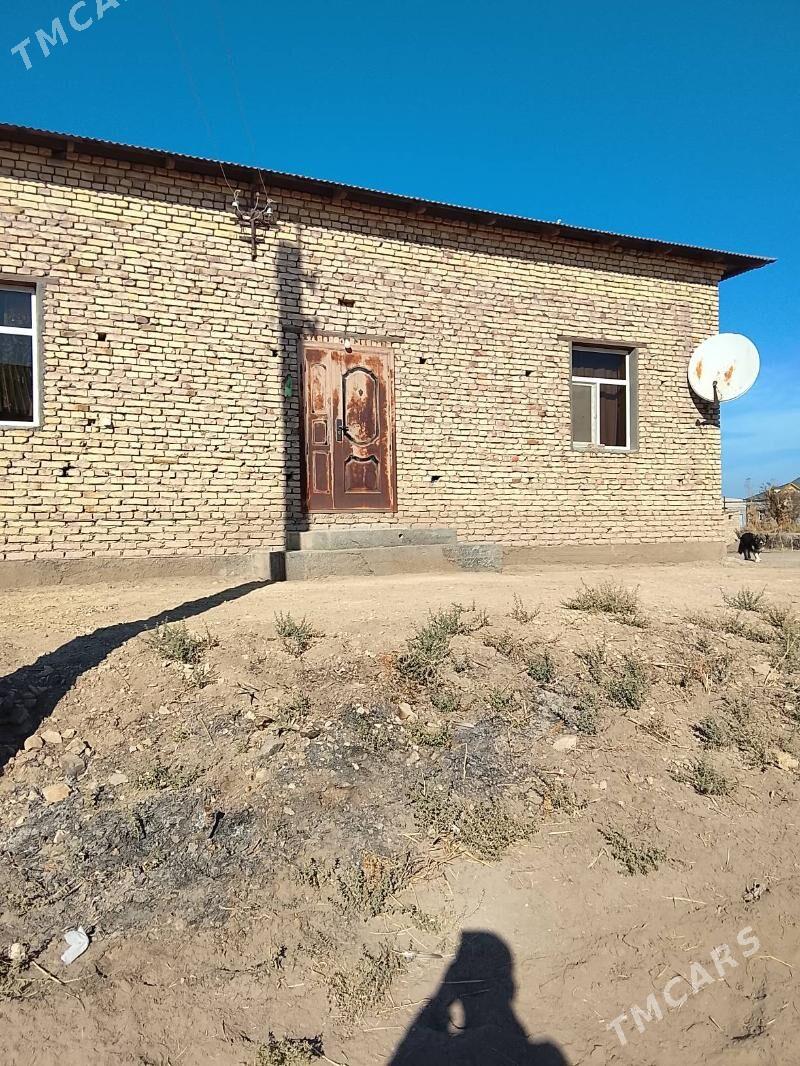 Satlyk jaylar - Şabat etr. - img 1