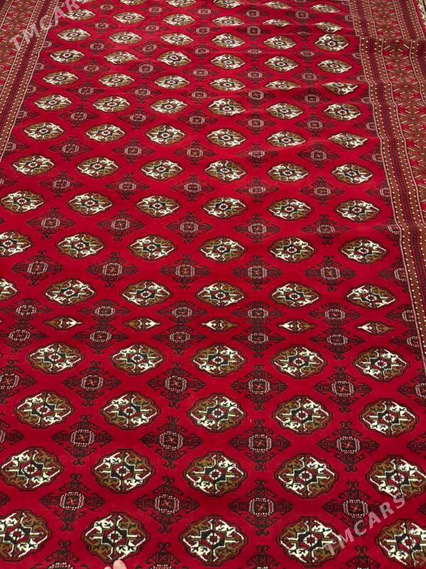 haly - Aşgabat - img 2