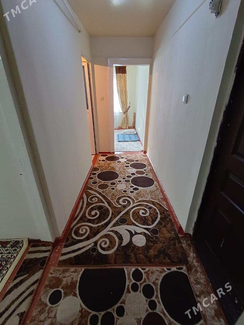 Satlyk jay - Mary - img 7