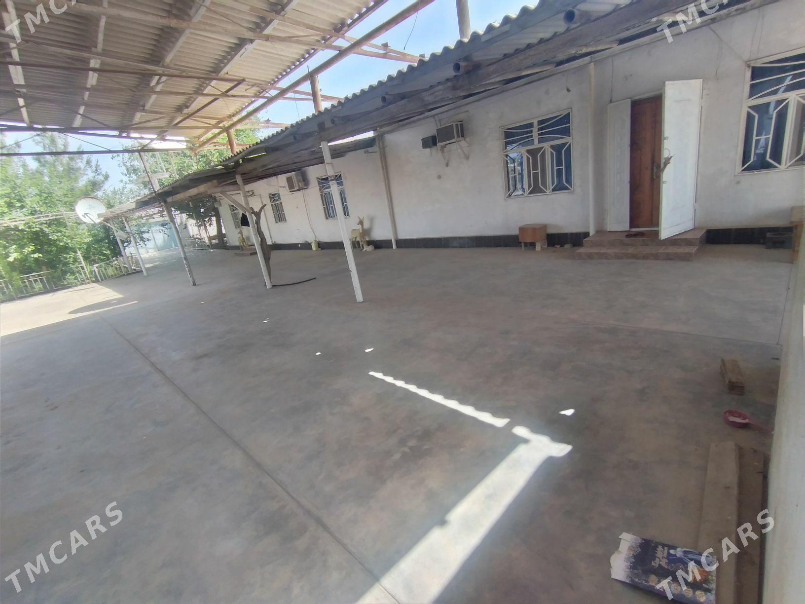 Satlyk Jaý - Garagum etraby - img 7