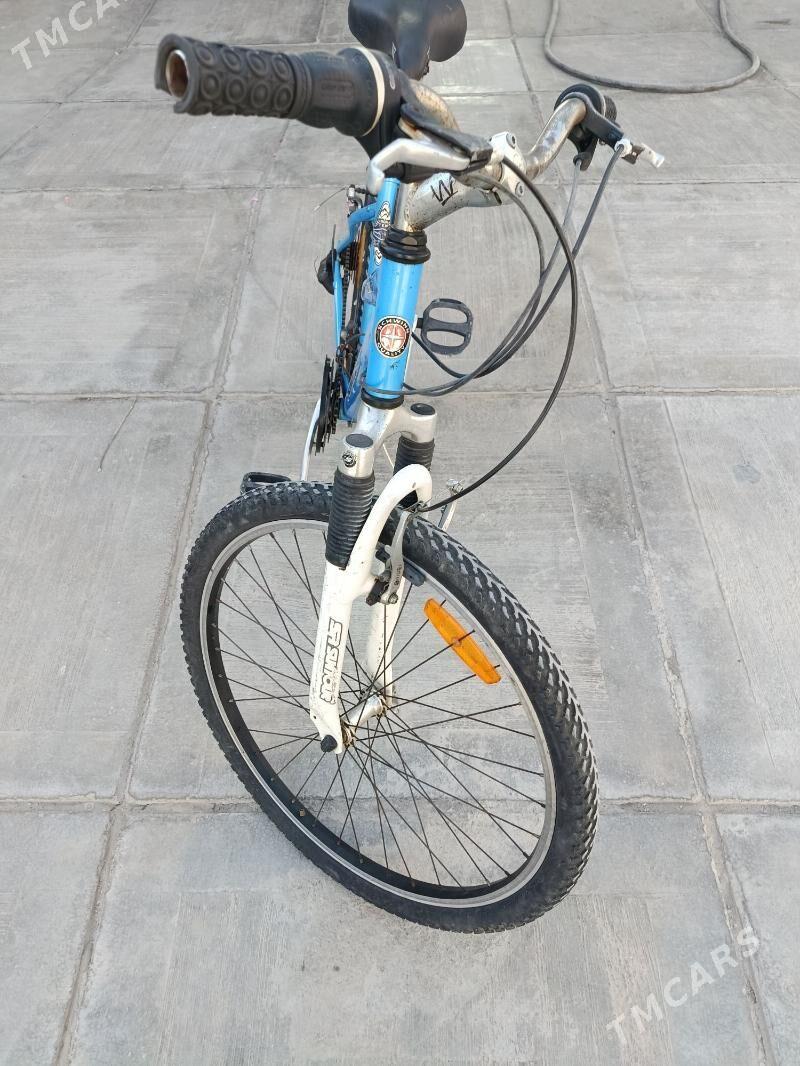 bäşyüzluk welisoped - Балканабат - img 2