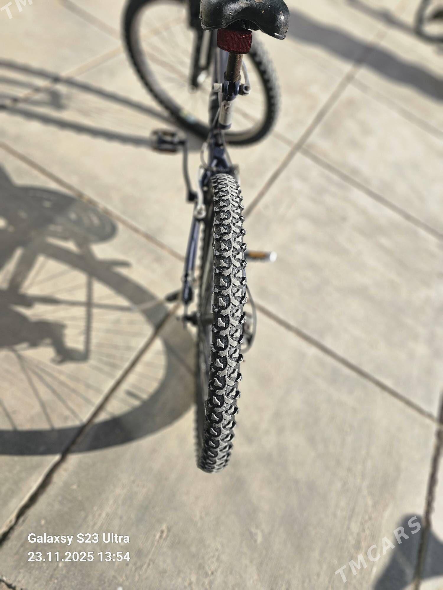 tigir - Balkanabat - img 3