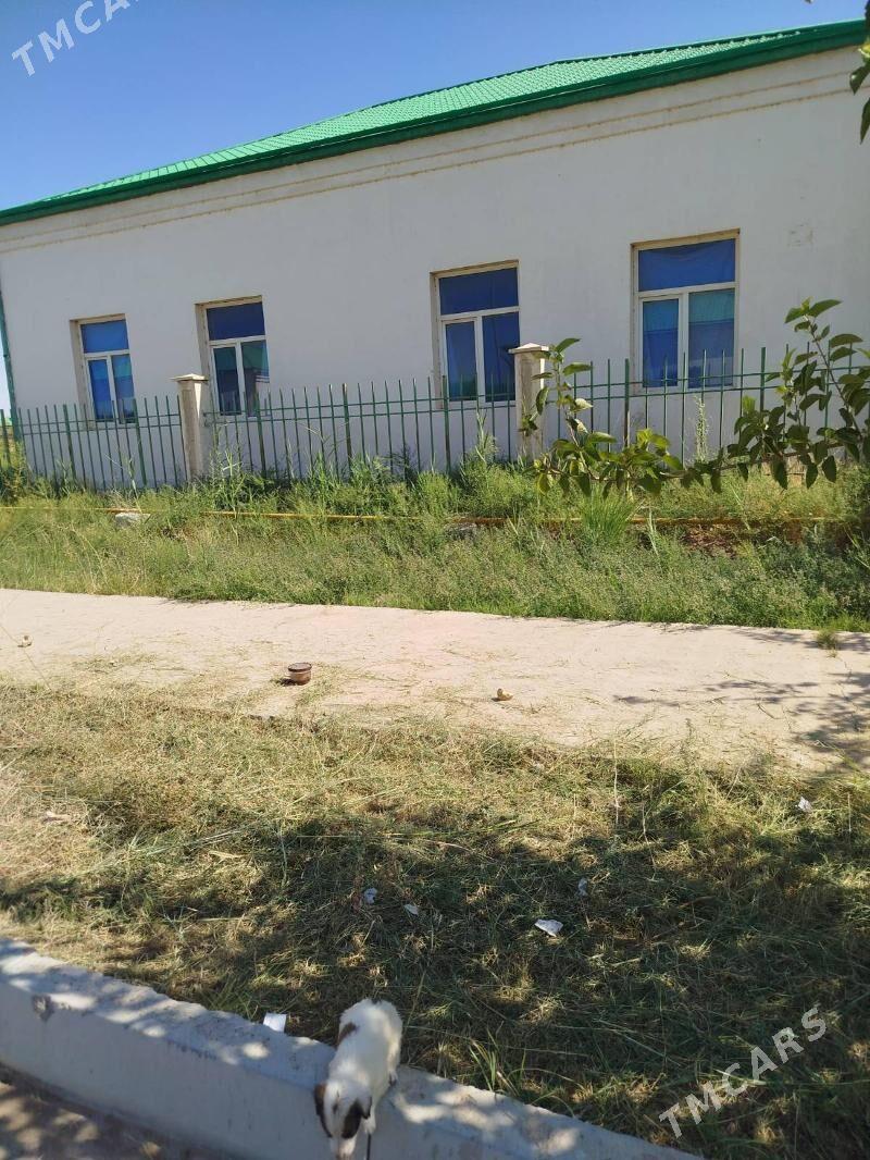 Satlyk Jaÿ - Oguz han - img 2