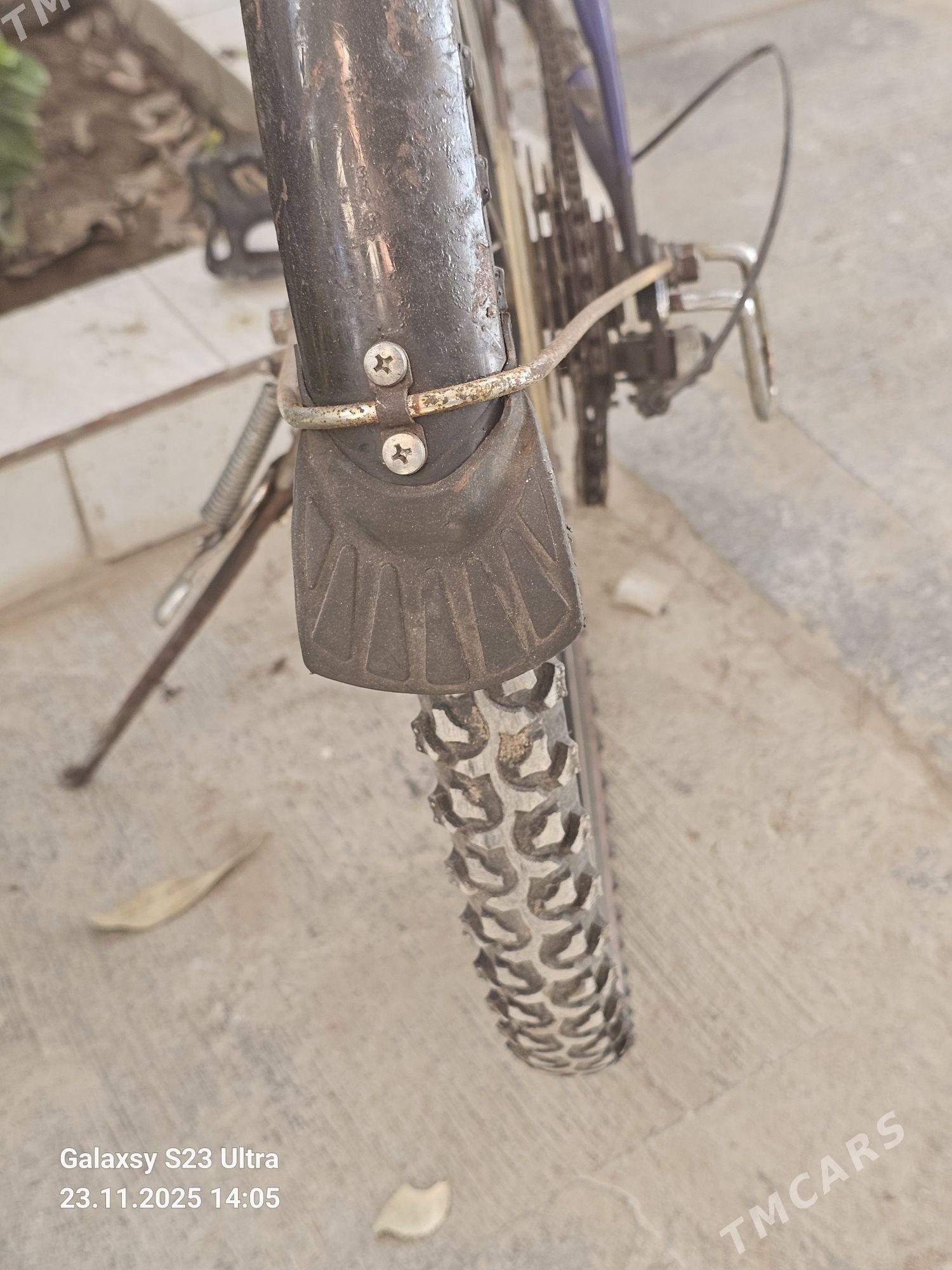 TIGIR - Балканабат - img 2