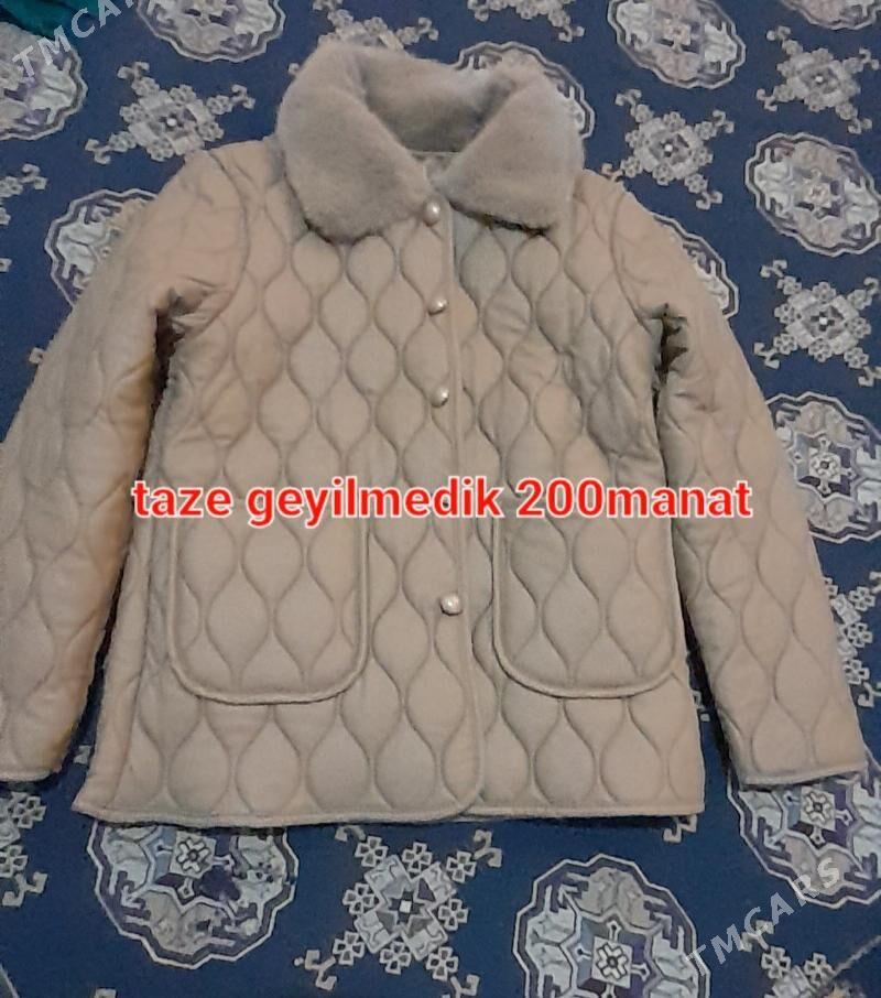 Egin eşekler - Türkmenbaşy - img 2