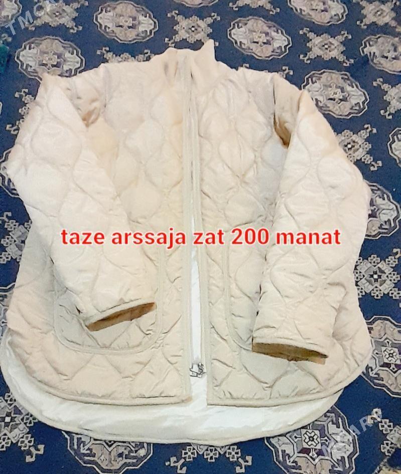 Egin eşekler - Türkmenbaşy - img 1