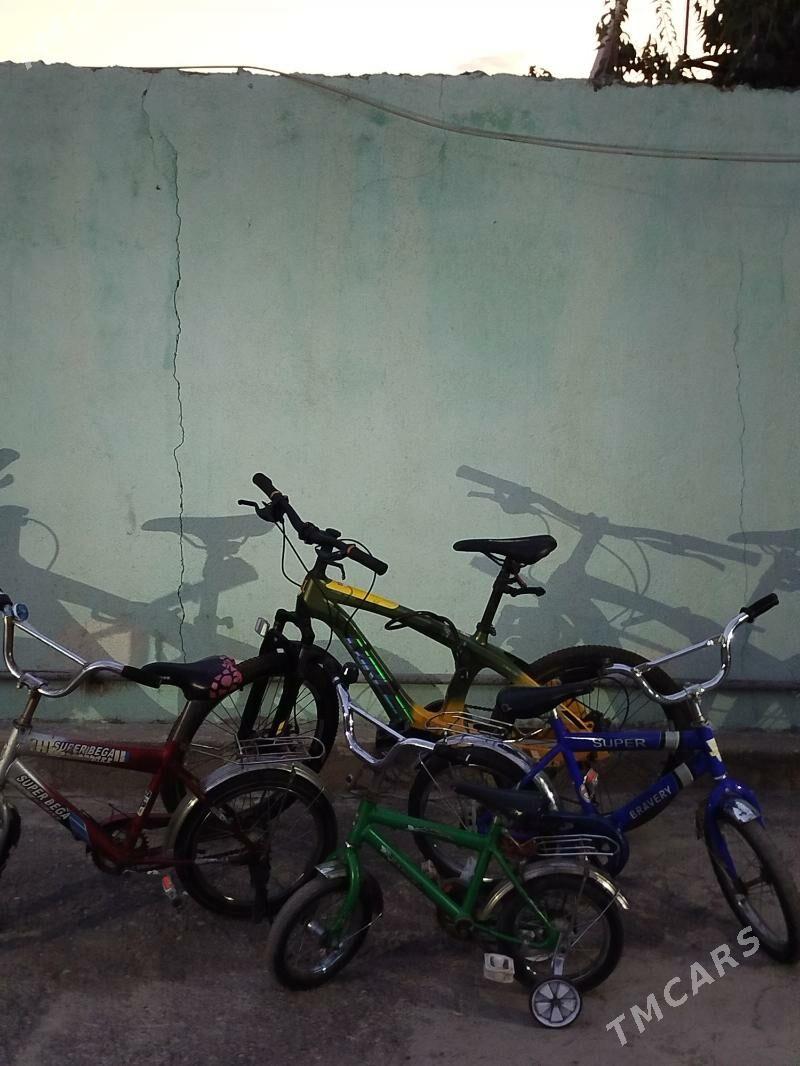 tigir - Gökje - img 1