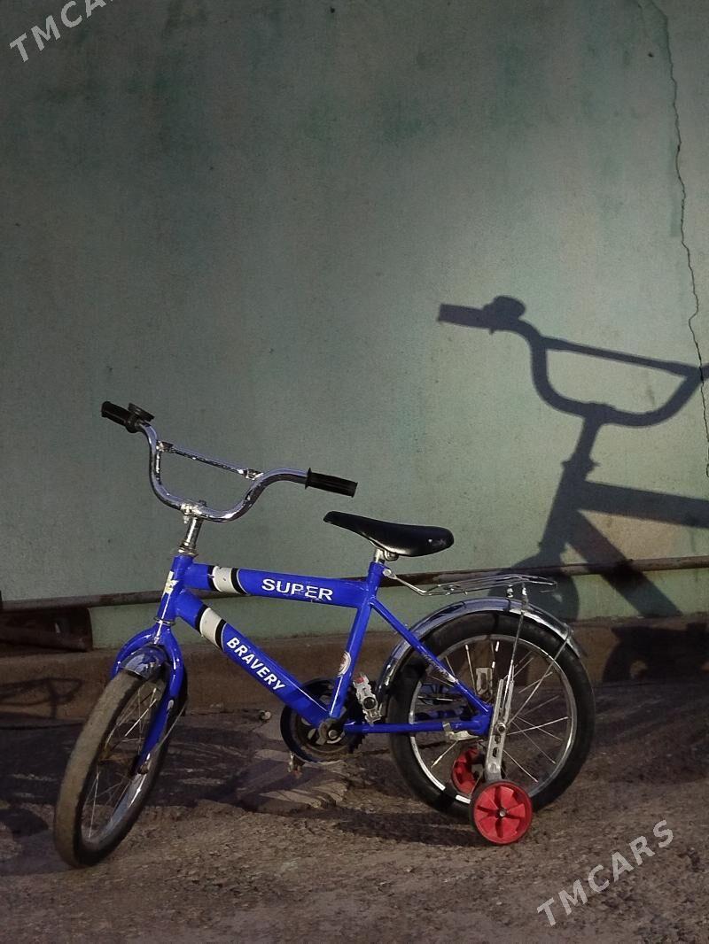 tigir - Gökje - img 2