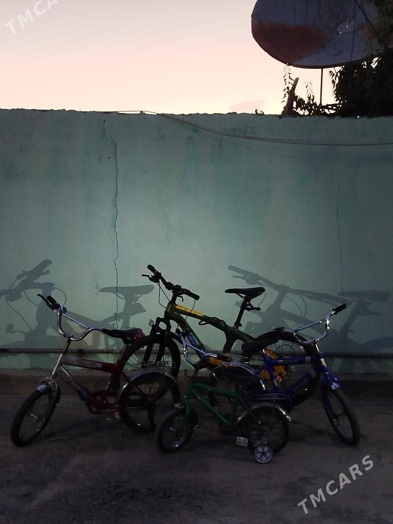 tigir - Gökje - img 6