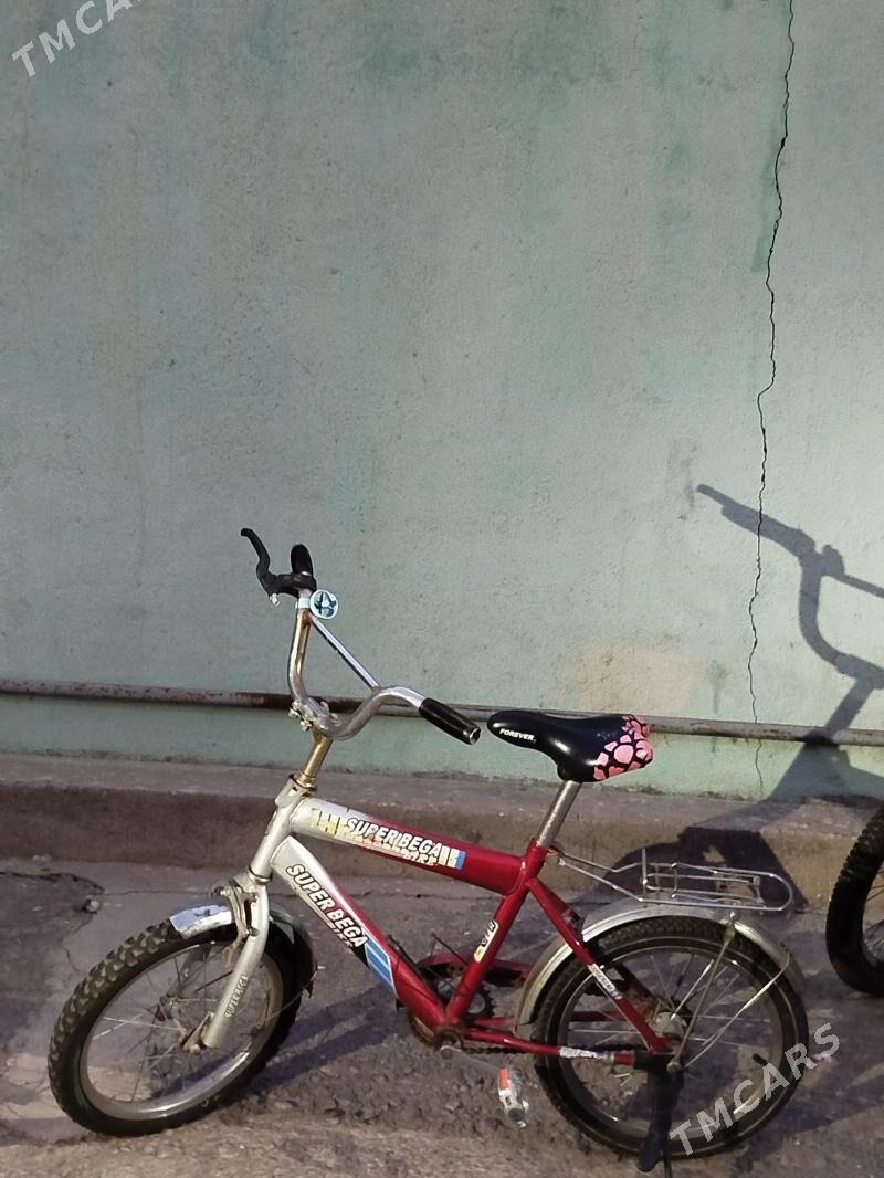 tigir - Gökje - img 4