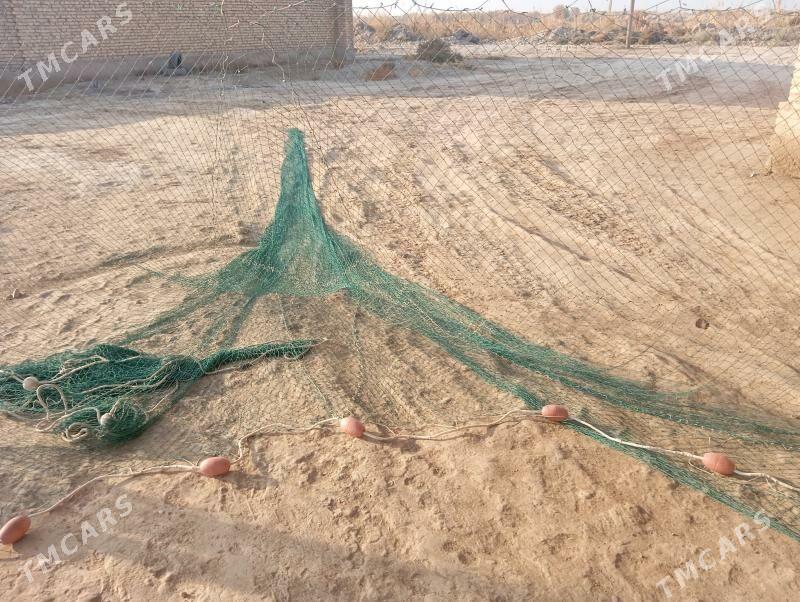 tor - Garabekewül - img 3