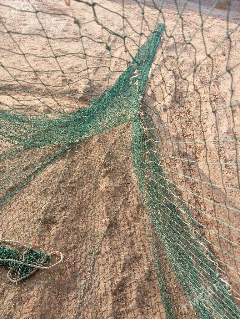 tor - Garabekewül - img 5