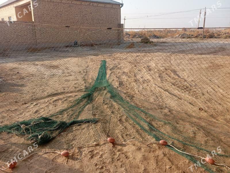 tor - Garabekewül - img 4