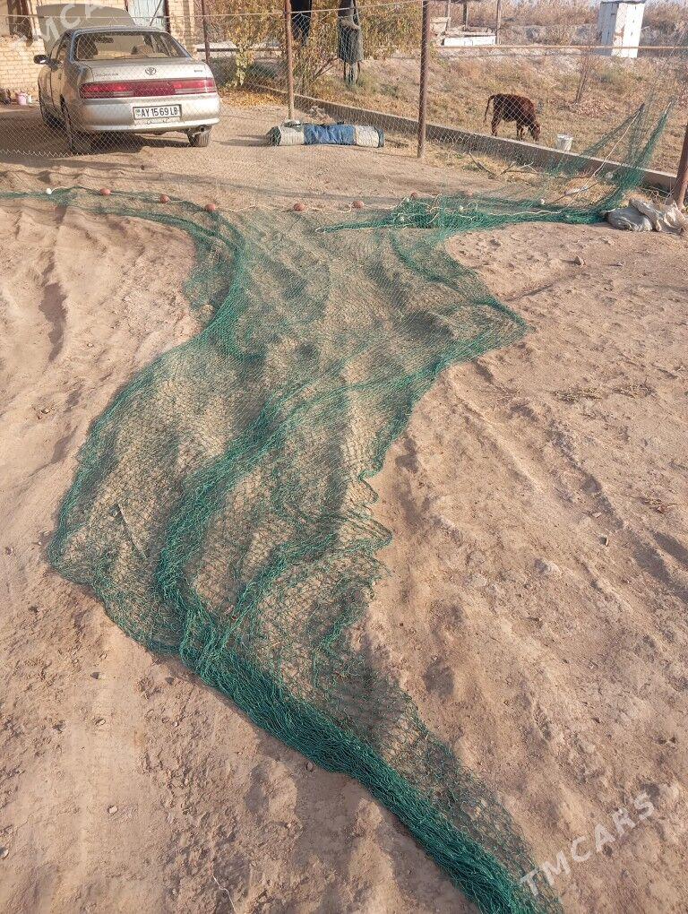 tor - Garabekewül - img 2