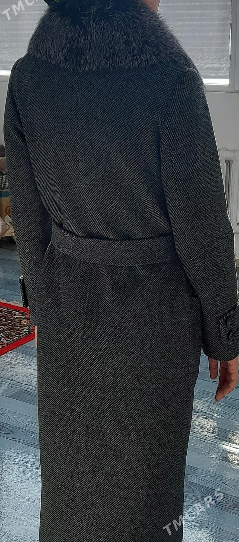 palto - Daşoguz - img 4