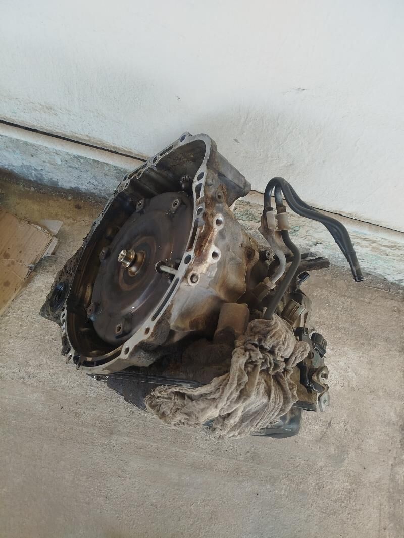 okuz kele 2.4 5 karopka 3 000 TMT - Туркменбаши - img 2