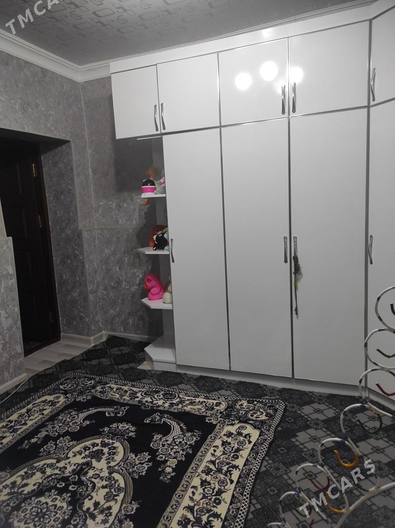 Satlyk jay - Mary - img 2