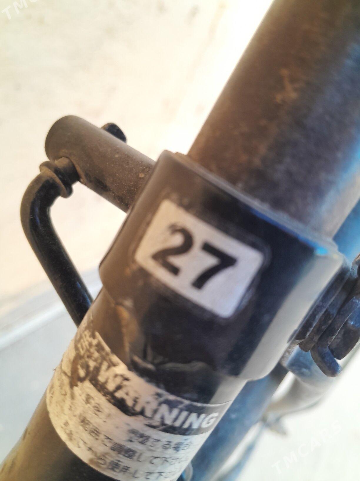 tiger 27lik - Çoganly - img 1