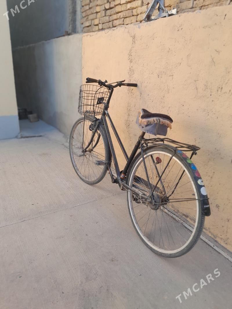 tiger 27lik - Çoganly - img 2