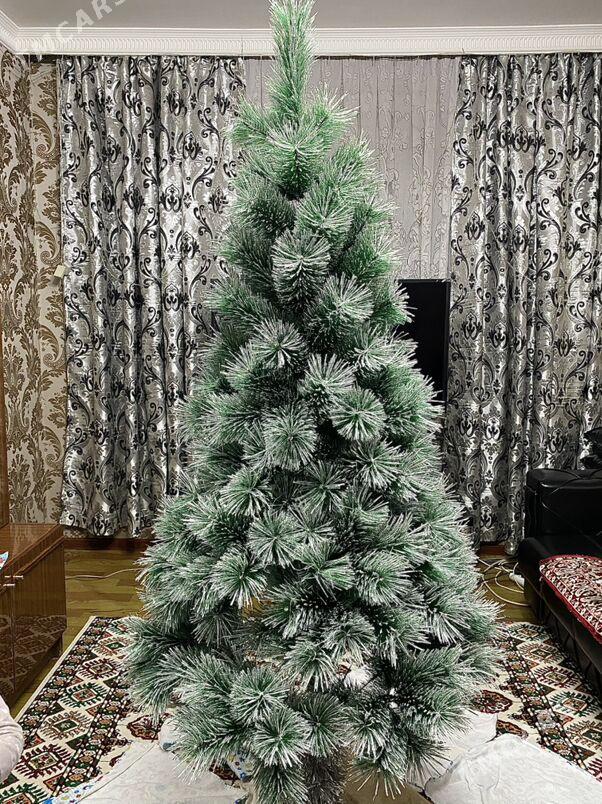 Елка Yolka - Aşgabat - img 1