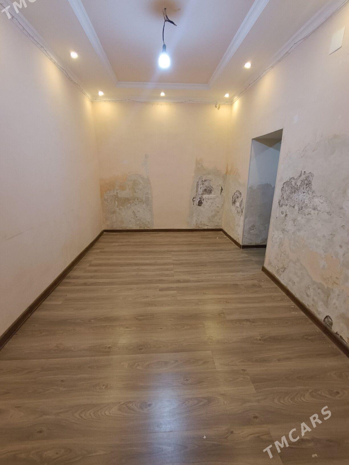 Satlyk jay - Mary - img 3