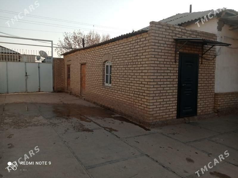 Satlyk jay - Mary - img 3