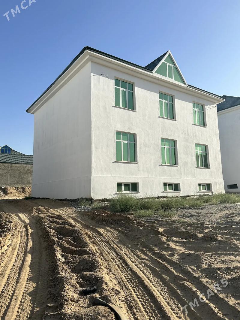 Anew kotej karopka - Änew - img 4