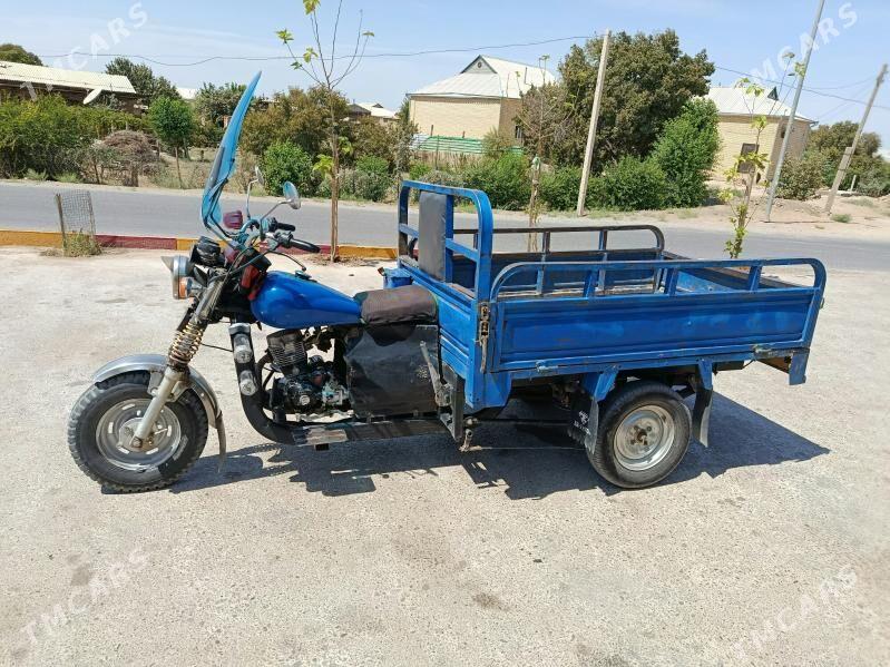 Fekon FK200-14G 2011 - 20 000 TMT - Sakarçäge - img 1