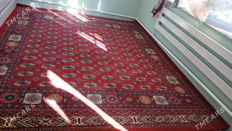 haly - Дашогуз - img 2