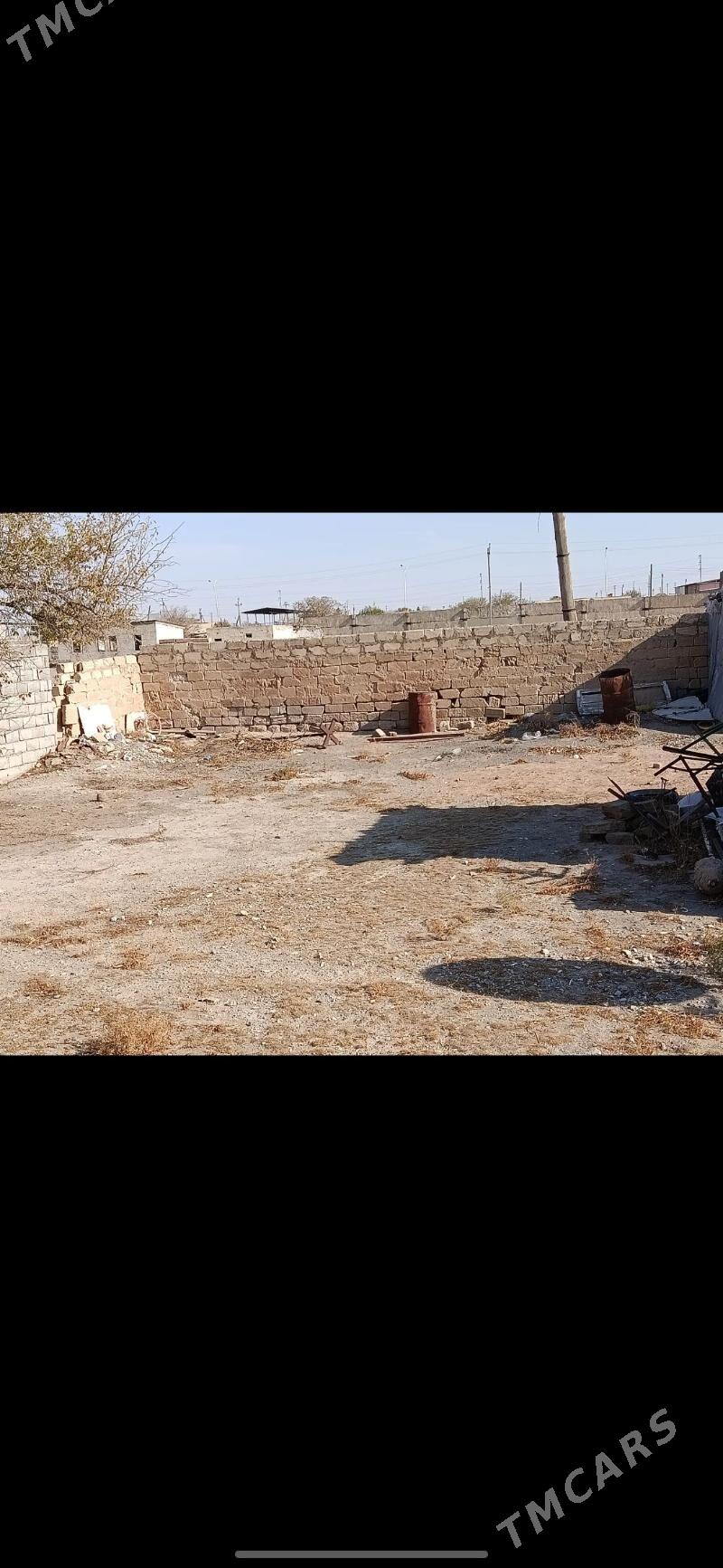 jay - Gyzylarbat - img 8