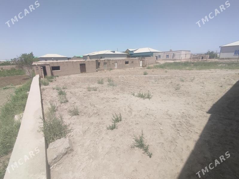 Kirowda satlyk jay - Шабатский этрап - img 9