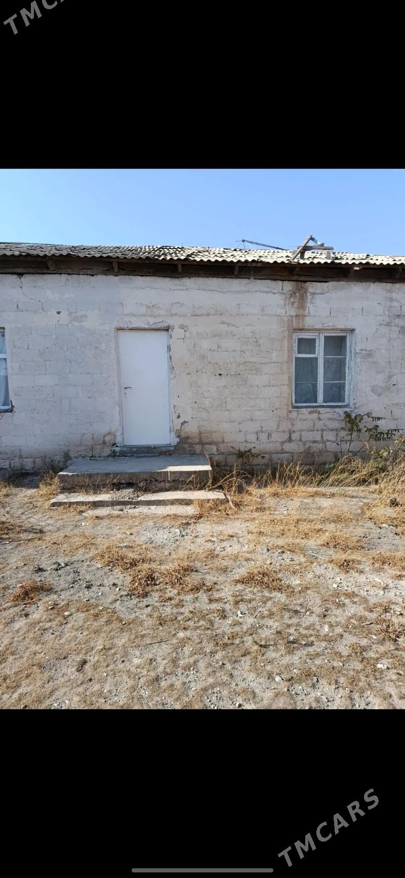 jay - Gyzylarbat - img 7