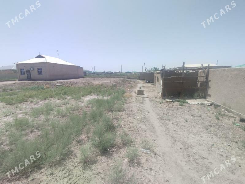 Kirowda satlyk jay - Шабатский этрап - img 10