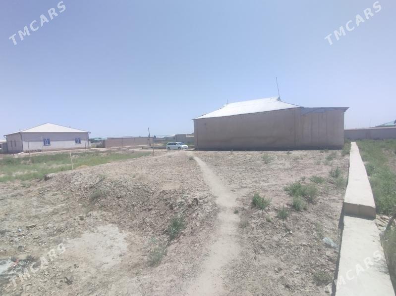 Kirowda satlyk jay - Шабатский этрап - img 8