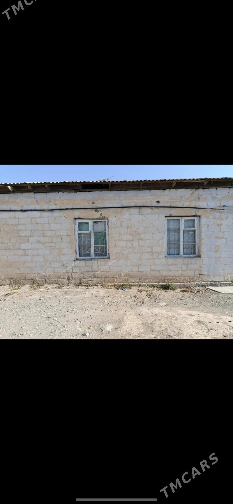 jay - Gyzylarbat - img 6