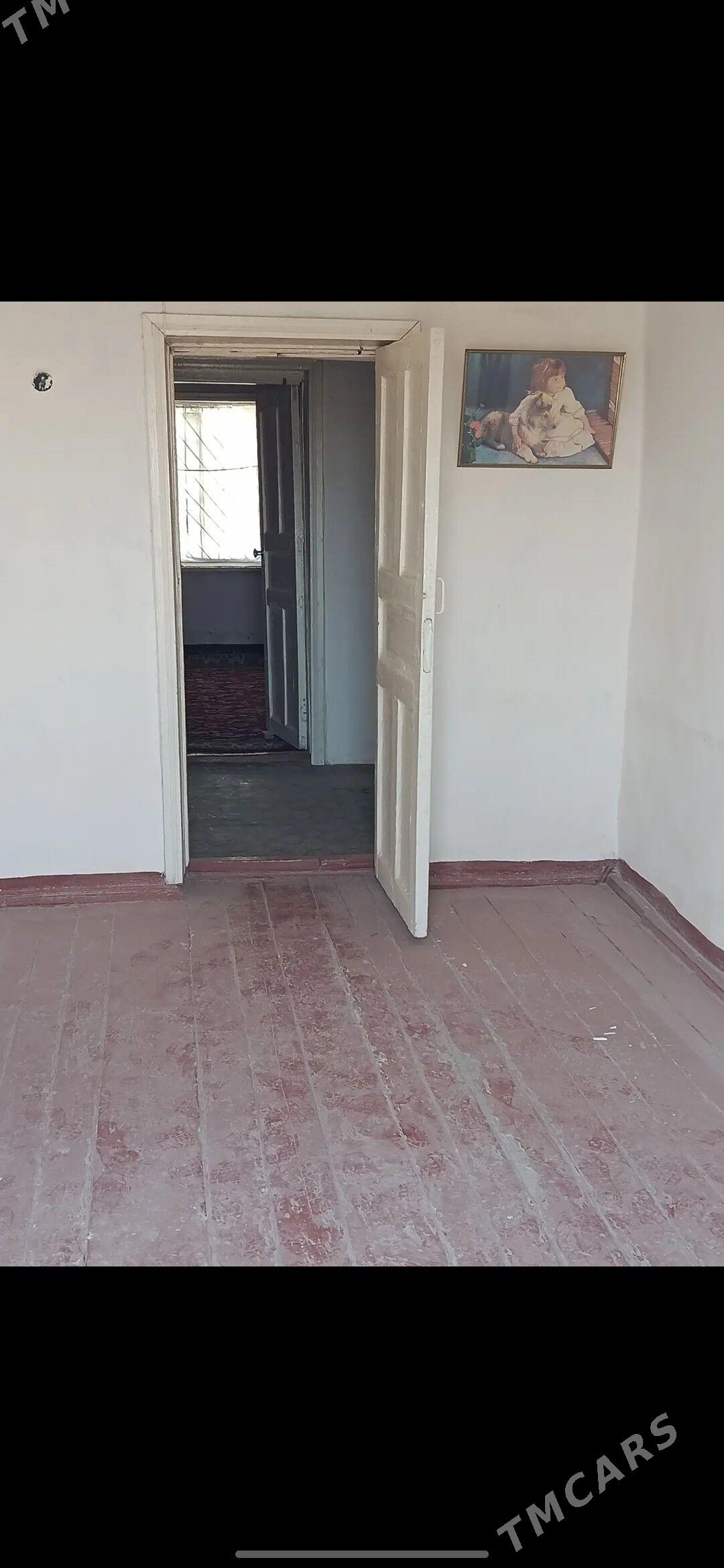 jay - Gyzylarbat - img 5