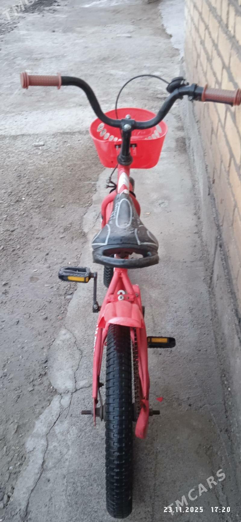 tigir - Dänew - img 2