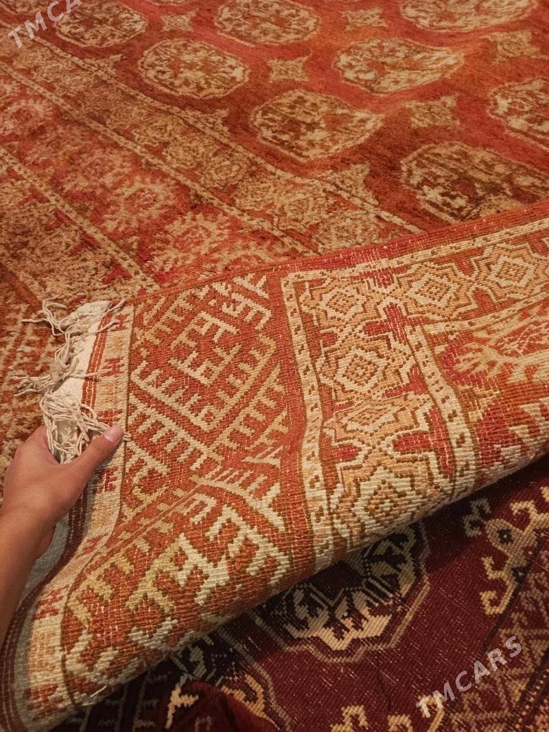 halyhaly - Ашхабад - img 3