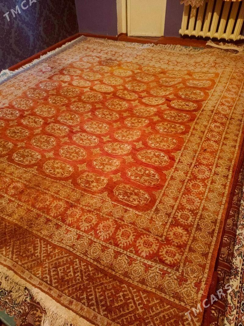 halyhaly - Ашхабад - img 5