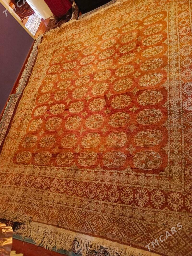 halyhaly - Ашхабад - img 6