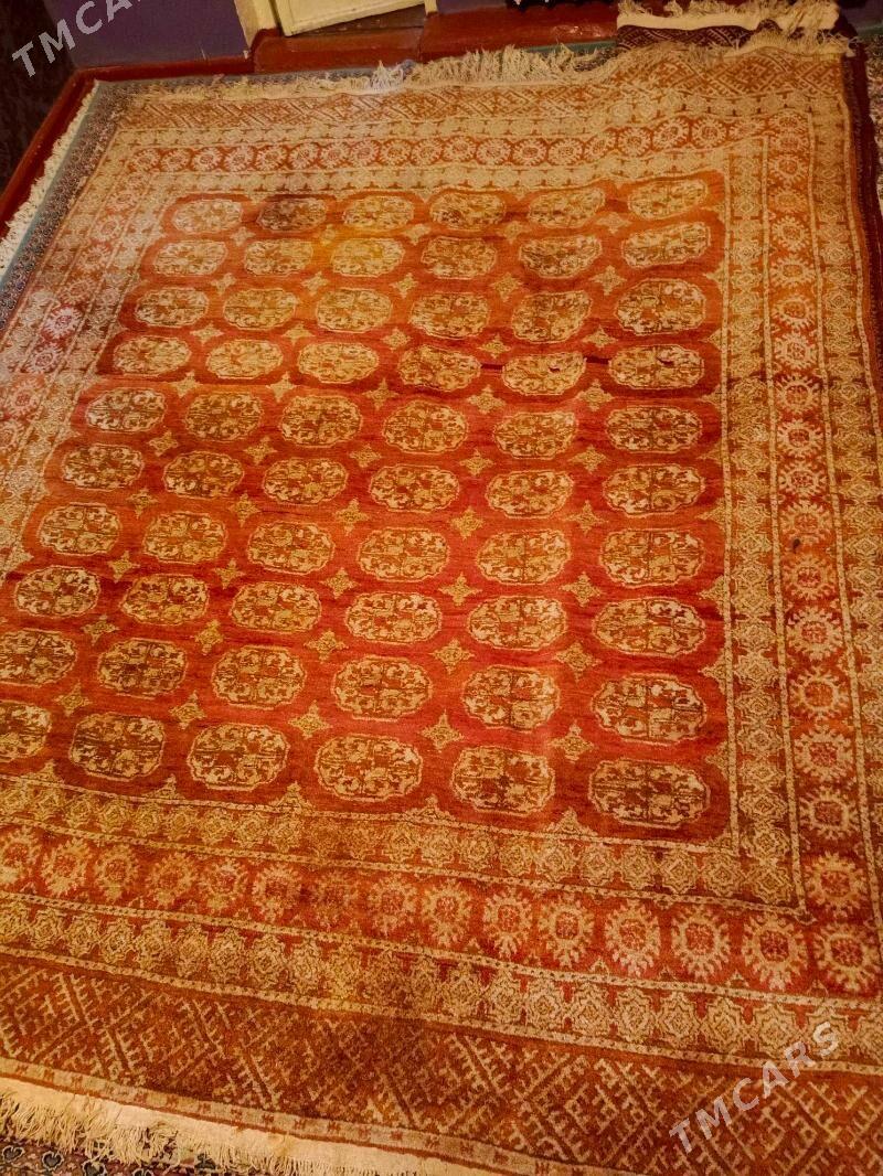 halyhaly - Ашхабад - img 1