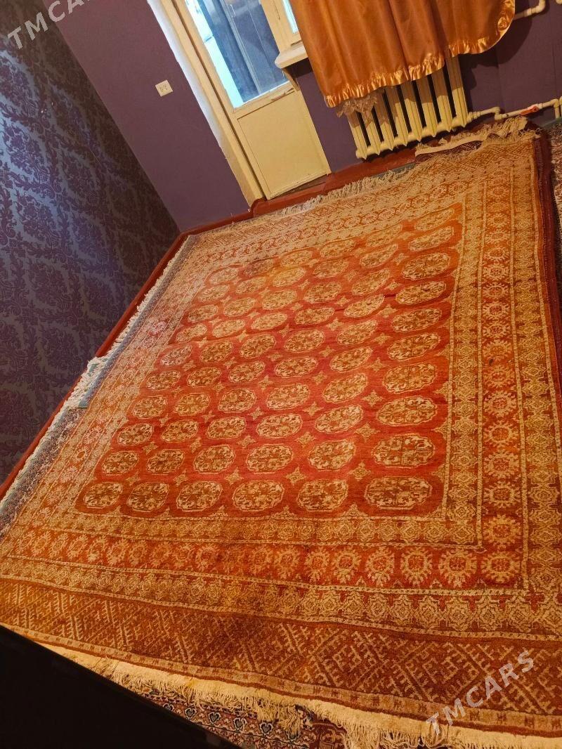 halyhaly - Ашхабад - img 4