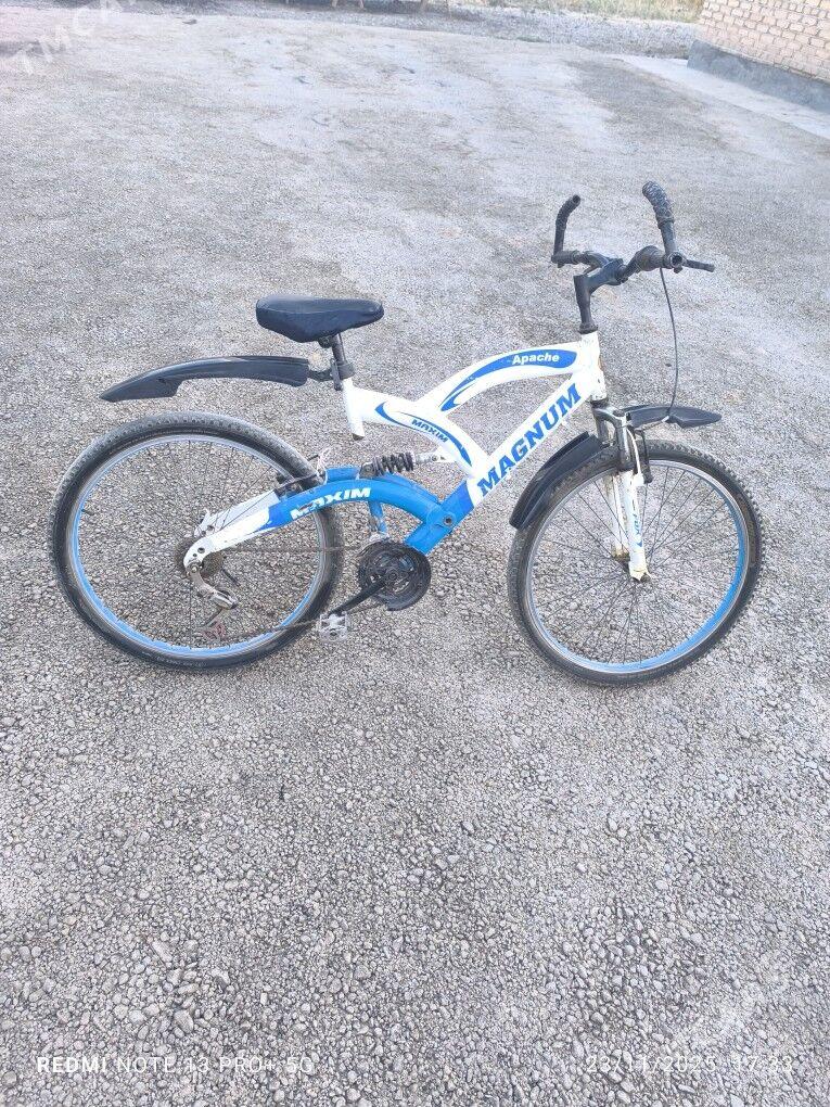 Amantrassa tigir - Теджен - img 4