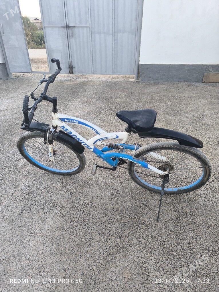 Amantrassa tigir - Теджен - img 2