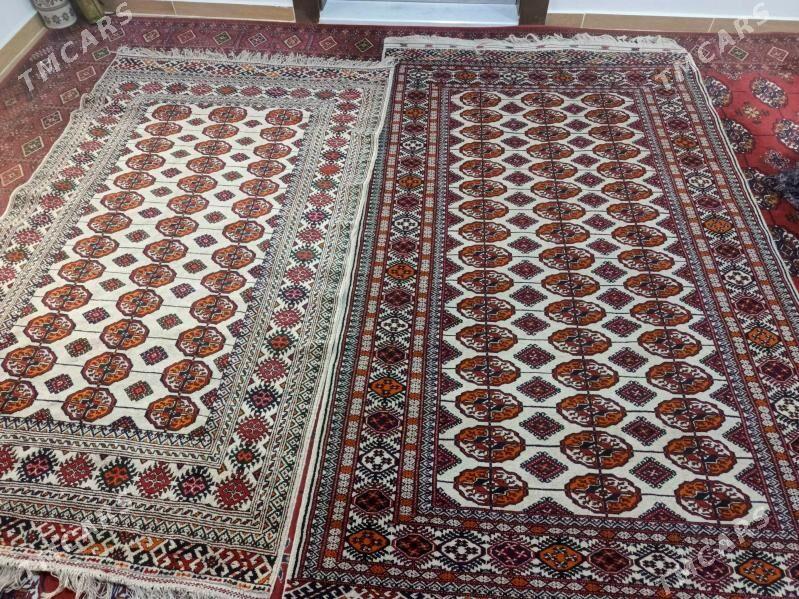 haly - Gökdepe - img 2