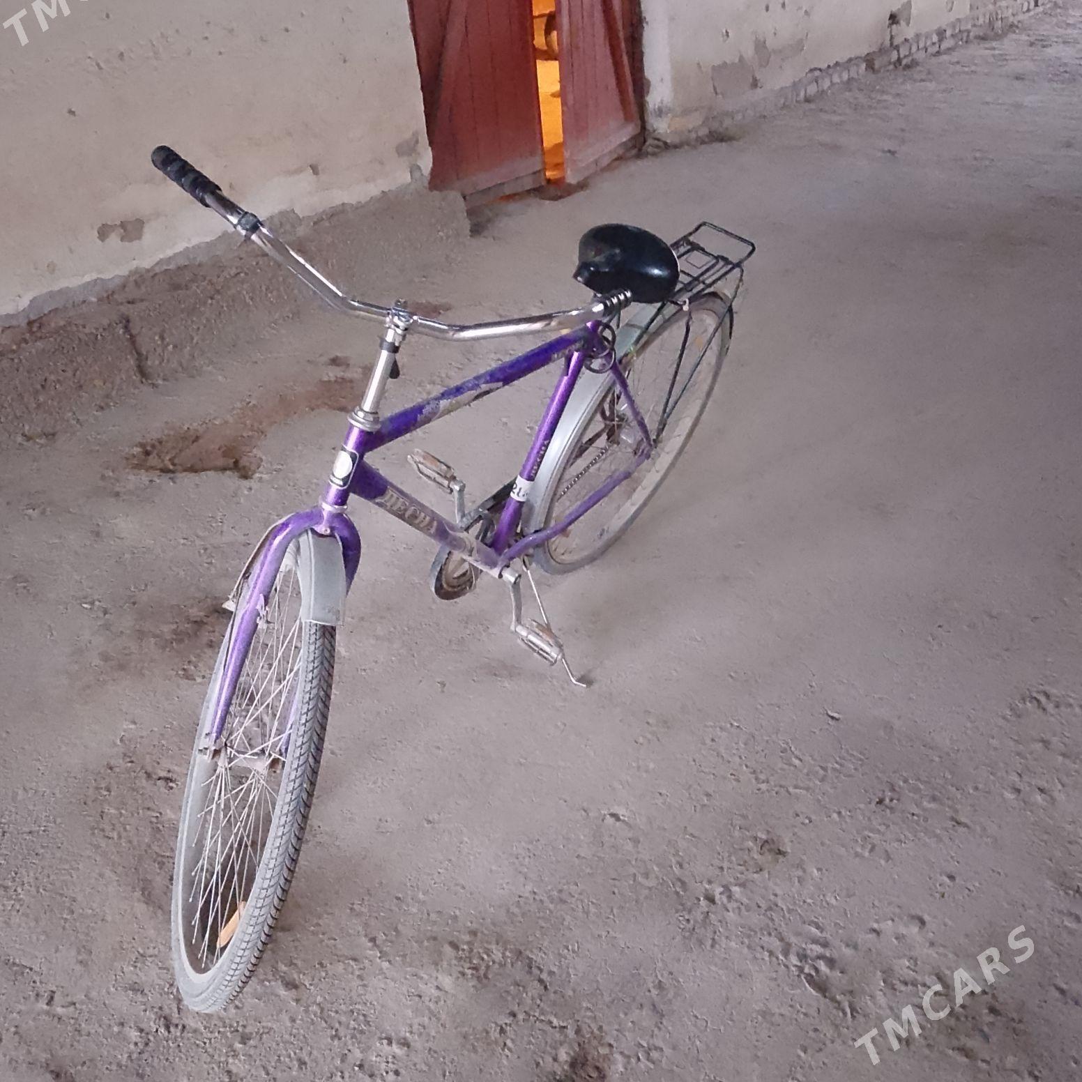 DESNA WELİK - Чарджоу - img 3