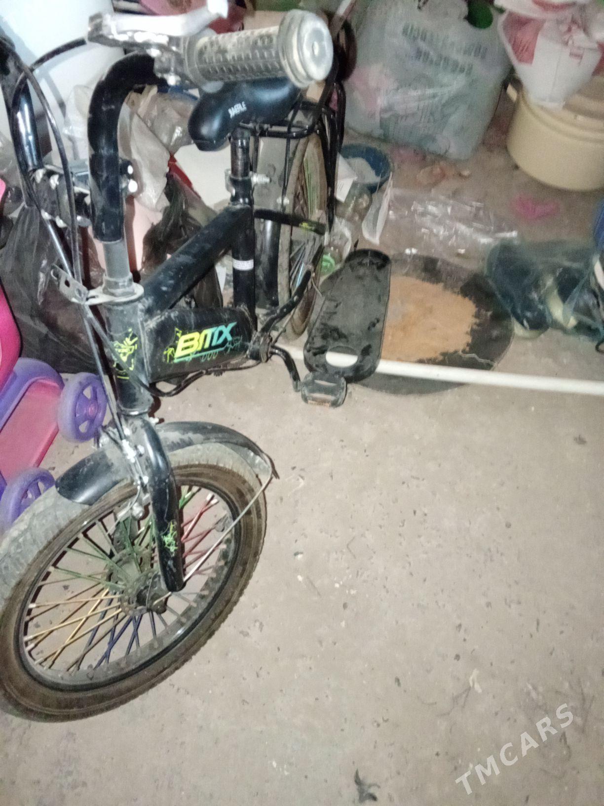 welsoped - Дашогуз - img 2